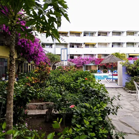 Bougainvillea Bamira * Маспаломас